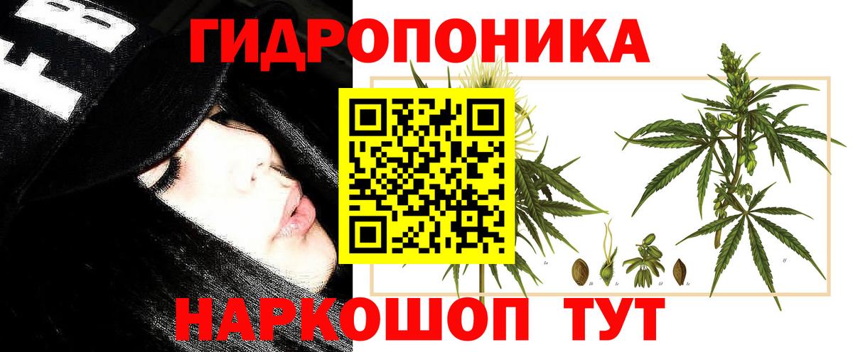 Кызыл  Шишки марихуана AK-47  Канабис план  Вход с VPN 